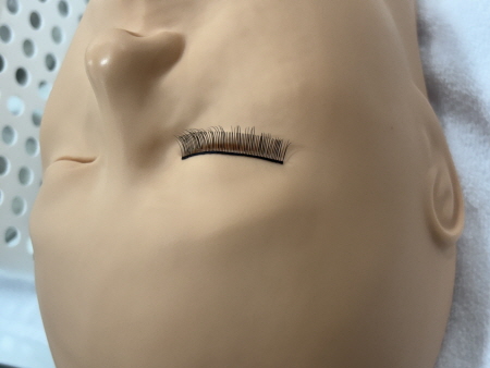 c59045601751639b36a88c919806e516_1761718327_0401.jpg c59045601751639b36a88c919806e516_1761718327_0401.jpg